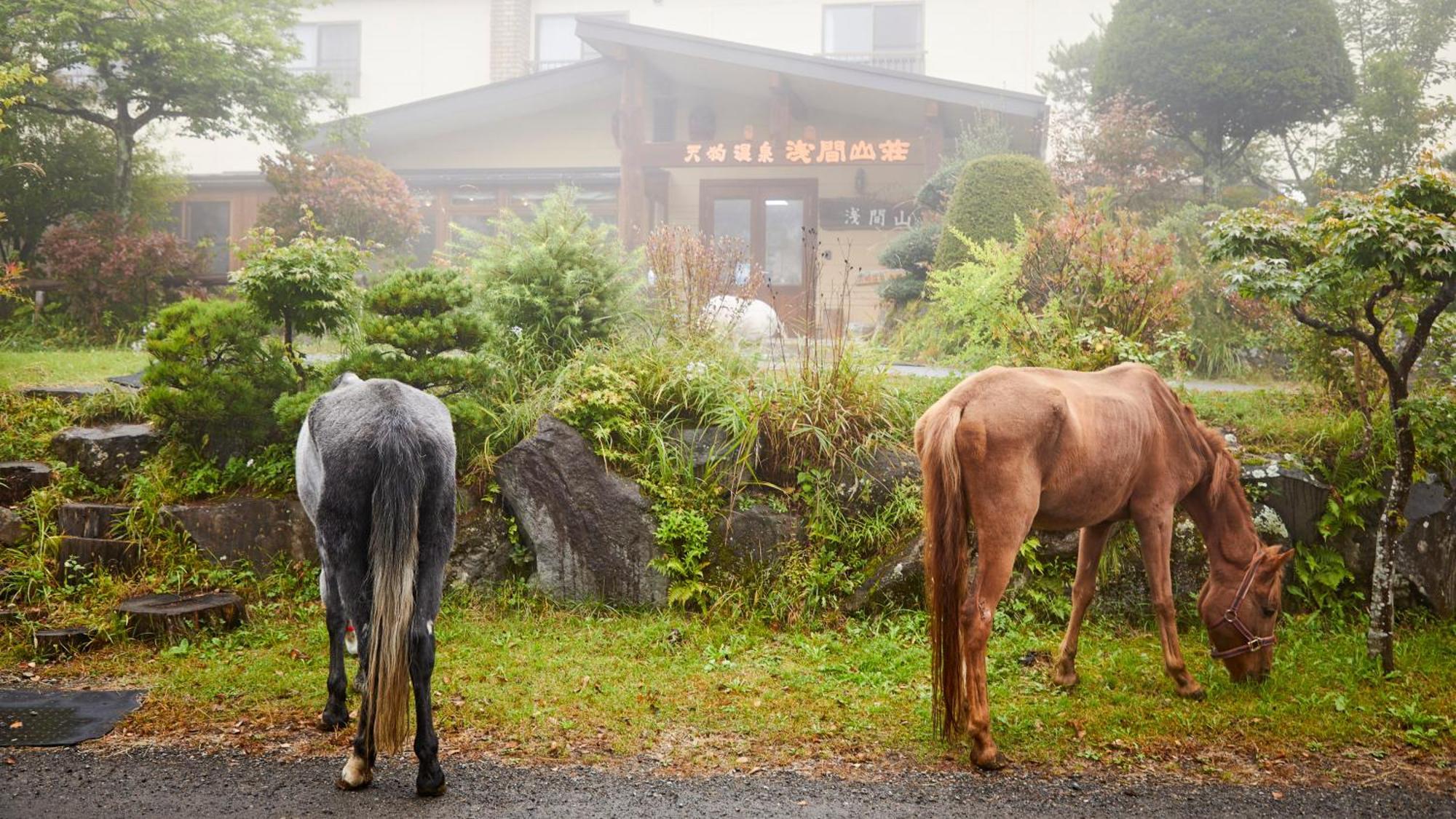 Tengu Onsen Asama Sanso Komoro ภายนอก รูปภาพ